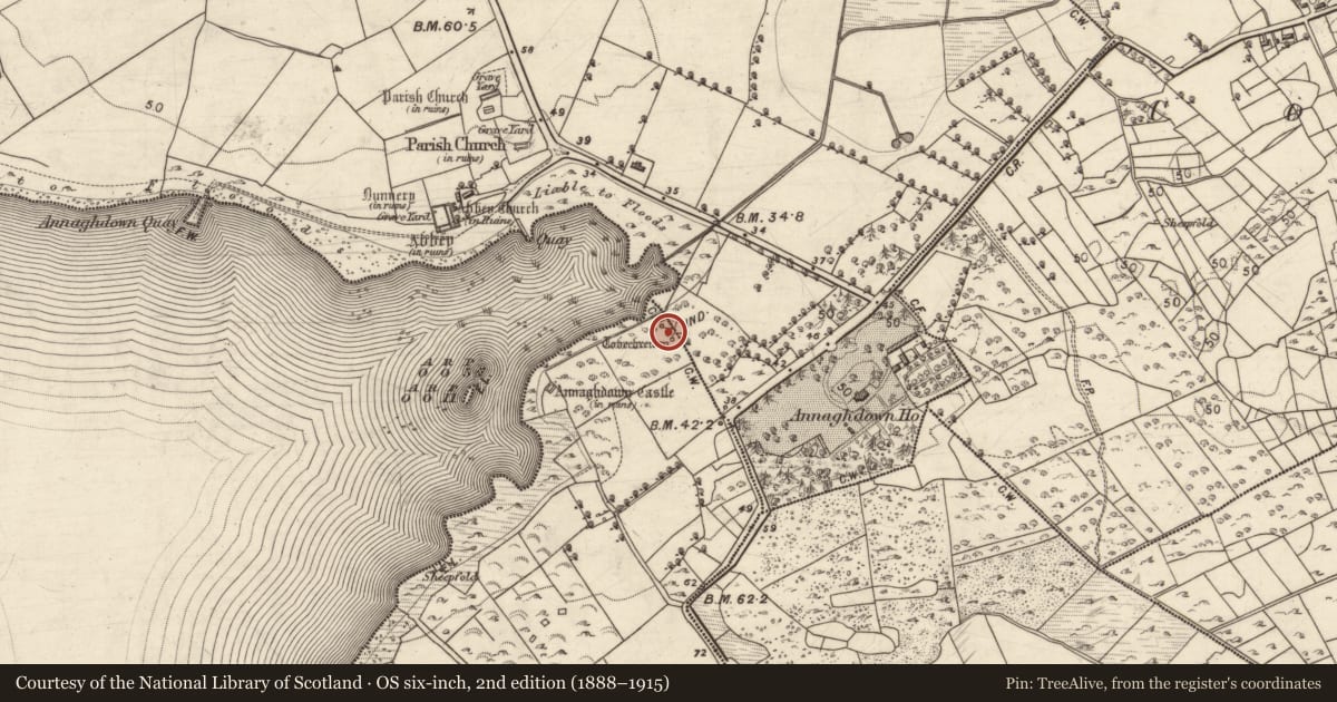 Ordnance Survey six-inch map, 2nd edition (1888–1915) covering the location of Ritual site - holy well, Eanach Dhúin, Baile Uí Laoigh, County Galway, with a pin at the register's coordinates