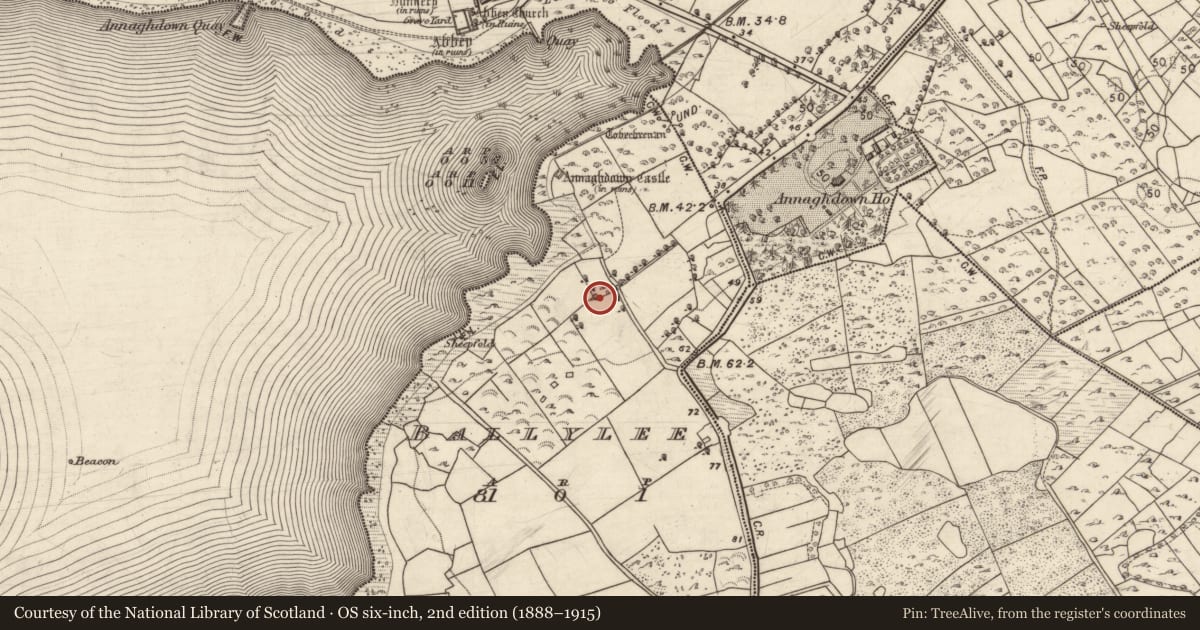 Ordnance Survey six-inch map, 2nd edition (1888–1915) covering the location of Ecclesiastical residence, Baile Uí Laoigh, County Galway, with a pin at the register's coordinates