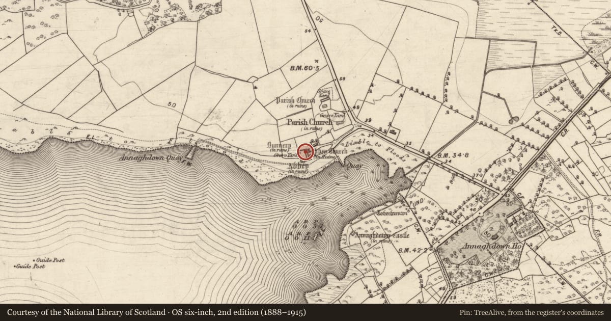 Ordnance Survey six-inch map, 2nd edition (1888–1915) covering the location of Graveslab, Eanach Dhúin, County Galway, with a pin at the register's coordinates