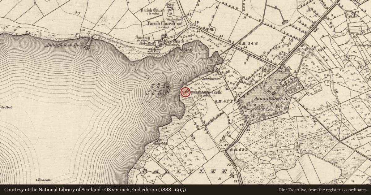 Ordnance Survey six-inch map, 2nd edition (1888–1915) covering the location of Castle - tower house, Baile Uí Laoigh, County Galway, with a pin at the register's coordinates