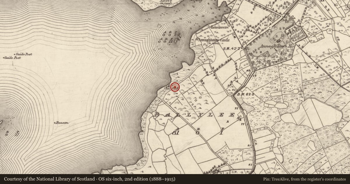 Ordnance Survey six-inch map, 2nd edition (1888–1915) covering the location of Ritual site - holy well, Baile Uí Laoigh, County Galway, with a pin at the register's coordinates