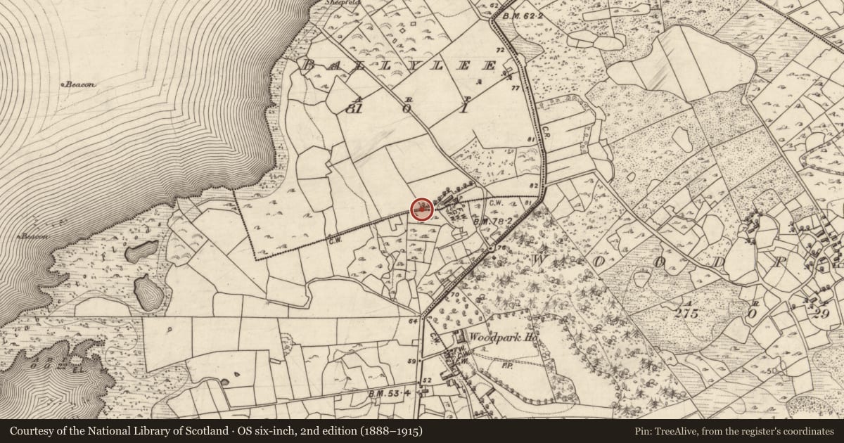 Ordnance Survey six-inch map, 2nd edition (1888–1915) covering the location of Designed landscape - folly, Baile Uí Laoigh, County Galway, with a pin at the register's coordinates