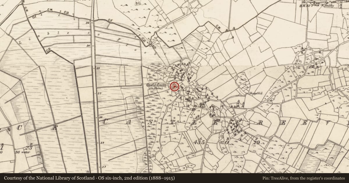 Ordnance Survey six-inch map, 2nd edition (1888–1915) covering the location of Castle - unclassified, Castlecreevy, County Galway, with a pin at the register's coordinates