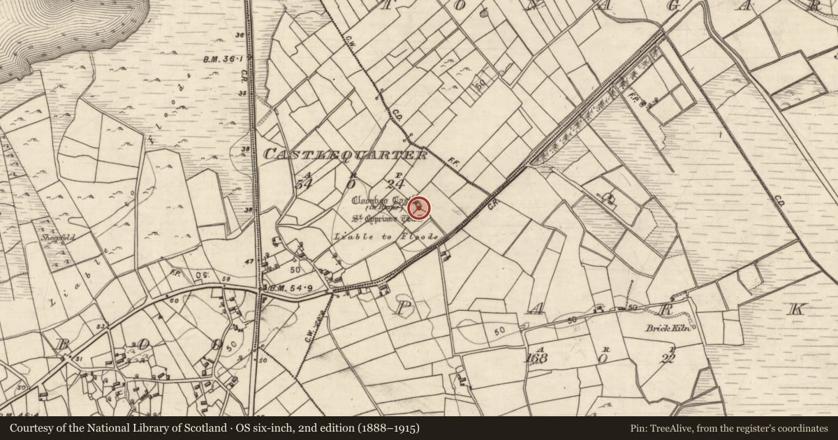Ordnance Survey six-inch map, 2nd edition (1888–1915) covering the location of Castle - tower house, Ceathrú An Chaisleáin, County Galway, with a pin at the register's coordinates