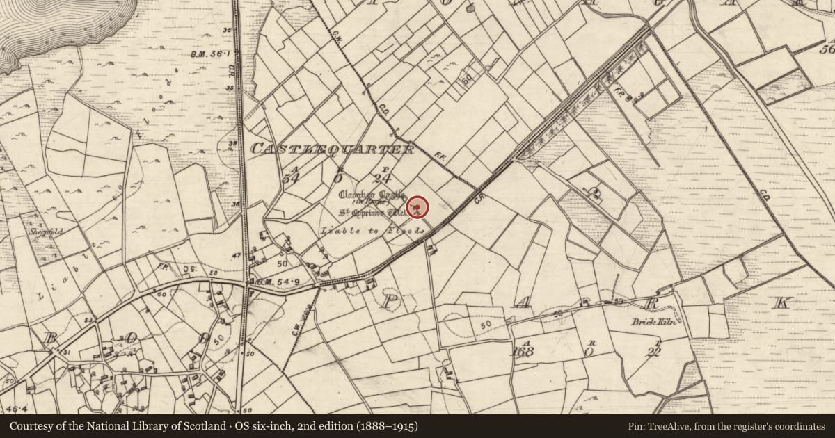 Ordnance Survey six-inch map, 2nd edition (1888–1915) covering the location of Ritual site - holy well, Ceathrú An Chaisleáin, County Galway, with a pin at the register's coordinates