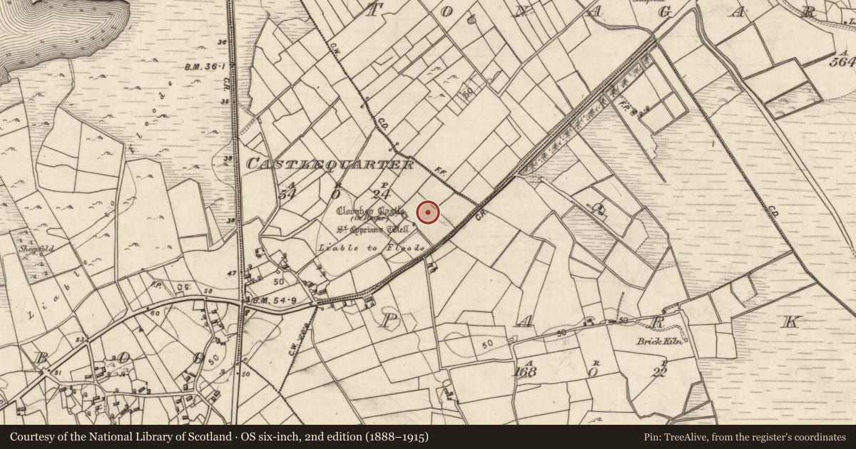 Ordnance Survey six-inch map, 2nd edition (1888–1915) covering the location of Enclosure, Ceathrú An Chaisleáin, County Galway, with a pin at the register's coordinates