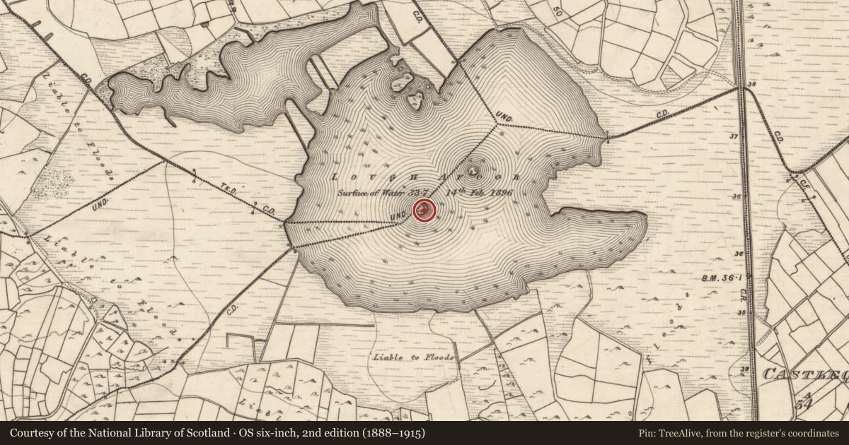 Ordnance Survey six-inch map, 2nd edition (1888–1915) covering the location of Crannog, Cluain Bú, Cluain Leannáin, County Galway, with a pin at the register's coordinates
