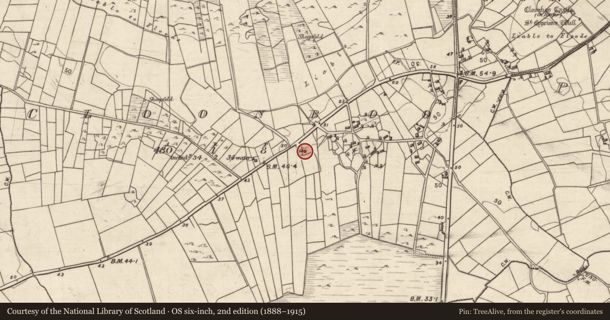 Ordnance Survey six-inch map, 2nd edition (1888–1915) covering the location of House - vernacular house, Cluain Bú, County Galway, with a pin at the register's coordinates