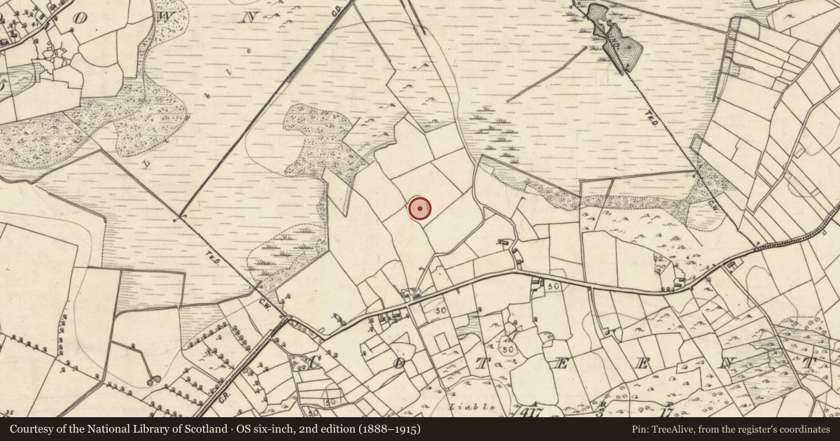 Ordnance Survey six-inch map, 2nd edition (1888–1915) covering the location of Ringfort - unclassified, Na Coitiantaí, County Galway, with a pin at the register's coordinates