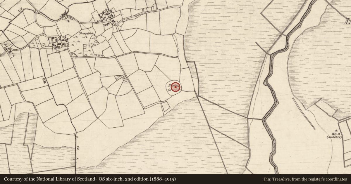 Ordnance Survey six-inch map, 2nd edition (1888–1915) covering the location of Enclosure, An Chreig Dhubh, County Galway, with a pin at the register's coordinates