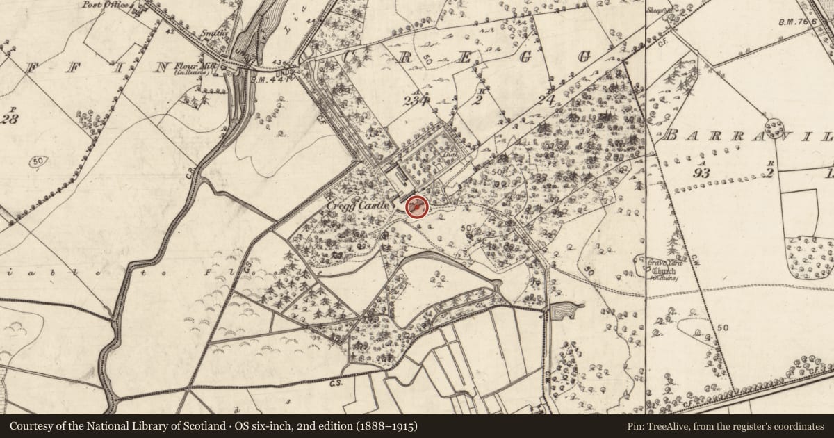 Ordnance Survey six-inch map, 2nd edition (1888–1915) covering the location of Castle - tower house, Cregg, County Galway, with a pin at the register's coordinates