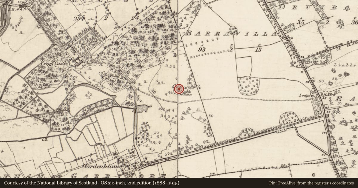 Ordnance Survey six-inch map, 2nd edition (1888–1915) covering the location of Graveyard, Cregg, County Galway, with a pin at the register's coordinates