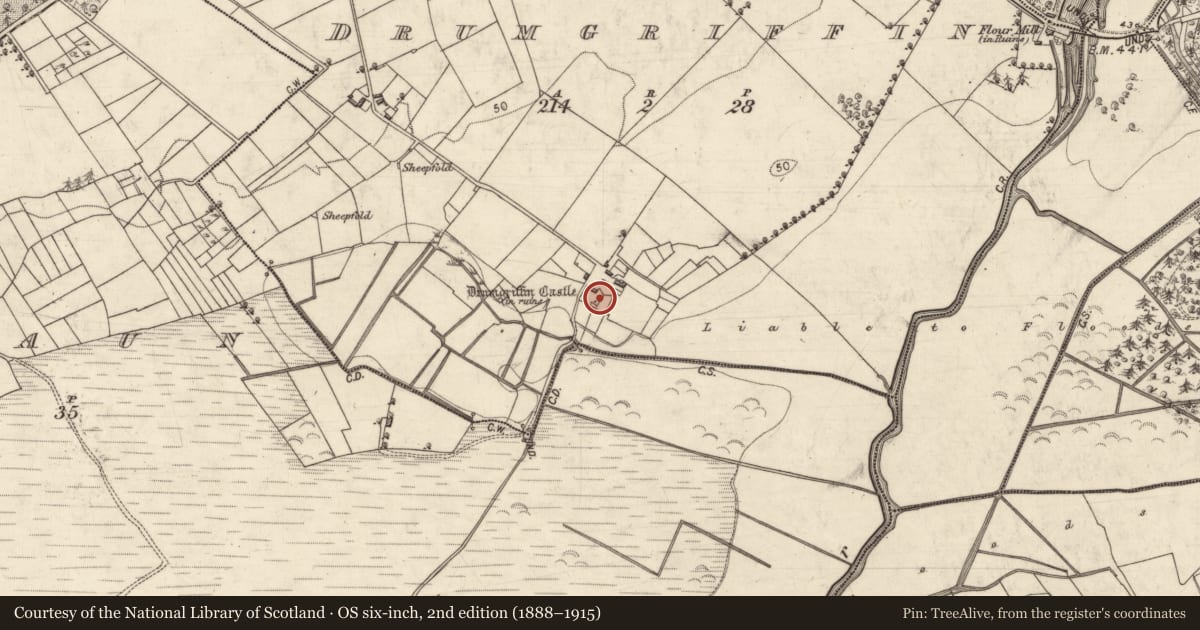 Ordnance Survey six-inch map, 2nd edition (1888–1915) covering the location of Castle - unclassified, Drumgriffin, County Galway, with a pin at the register's coordinates