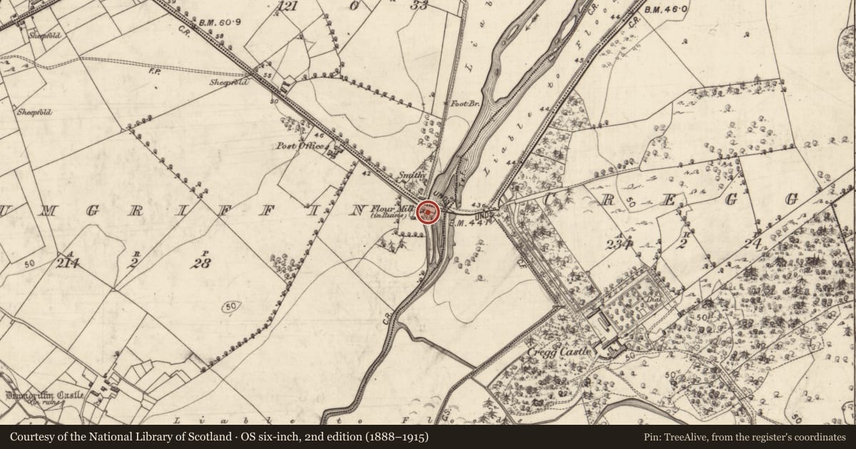 Ordnance Survey six-inch map, 2nd edition (1888–1915) covering the location of Mill - unclassified, Drumgriffin, County Galway, with a pin at the register's coordinates