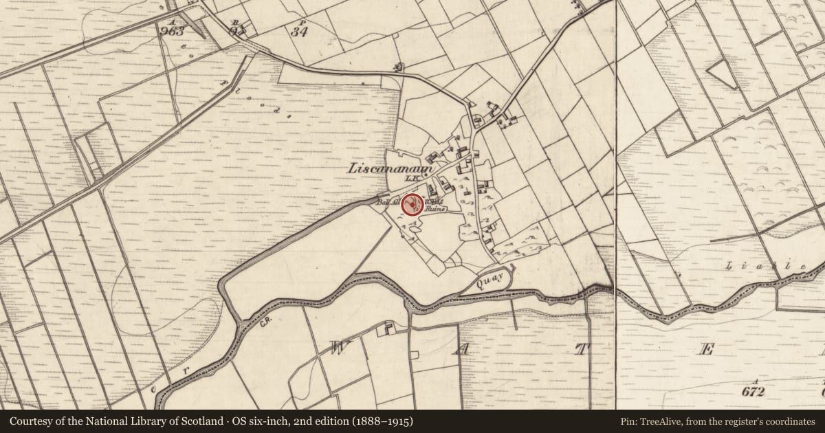 Ordnance Survey six-inch map, 2nd edition (1888–1915) covering the location of Castle - tower house, Liscananaun, County Galway, with a pin at the register's coordinates
