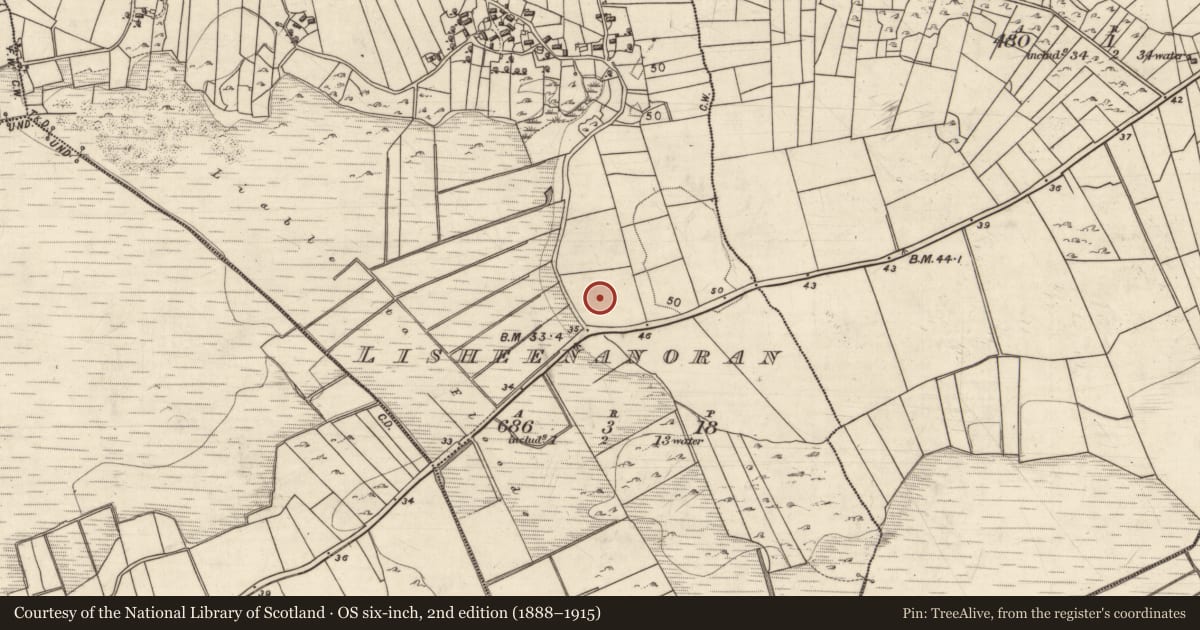 Ordnance Survey six-inch map, 2nd edition (1888–1915) covering the location of Enclosure, Lisín An Óráin, County Galway, with a pin at the register's coordinates