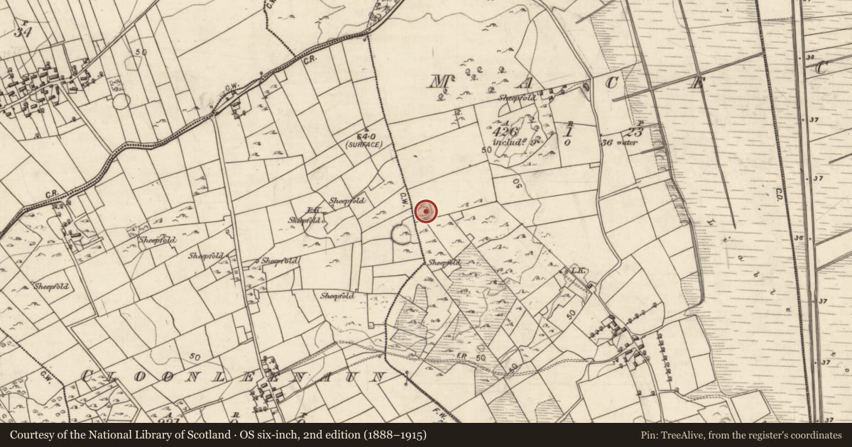 Ordnance Survey six-inch map, 2nd edition (1888–1915) covering the location of Enclosure, An Más, County Galway, with a pin at the register's coordinates