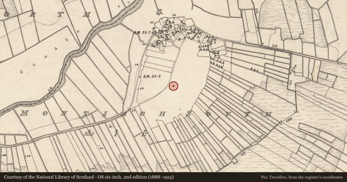 Ordnance Survey six-inch map, 2nd edition (1888–1915) covering the location of Children's burial ground, An Móinteach Theas, County Galway, with a pin at the register's coordinates