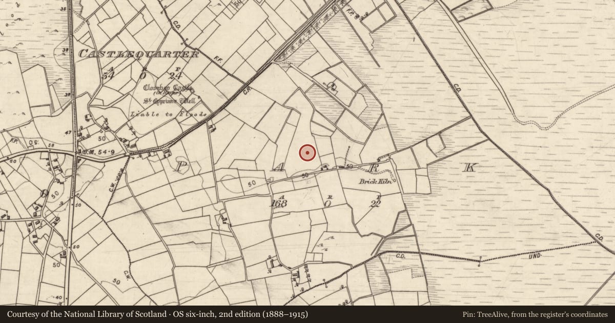 Ordnance Survey six-inch map, 2nd edition (1888–1915) covering the location of Cist, Park, County Galway, with a pin at the register's coordinates
