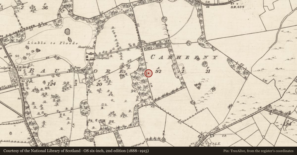 Ordnance Survey six-inch map, 2nd edition (1888–1915) covering the location of Enclosure, Baunmore, Carheeny, County Galway, with a pin at the register's coordinates