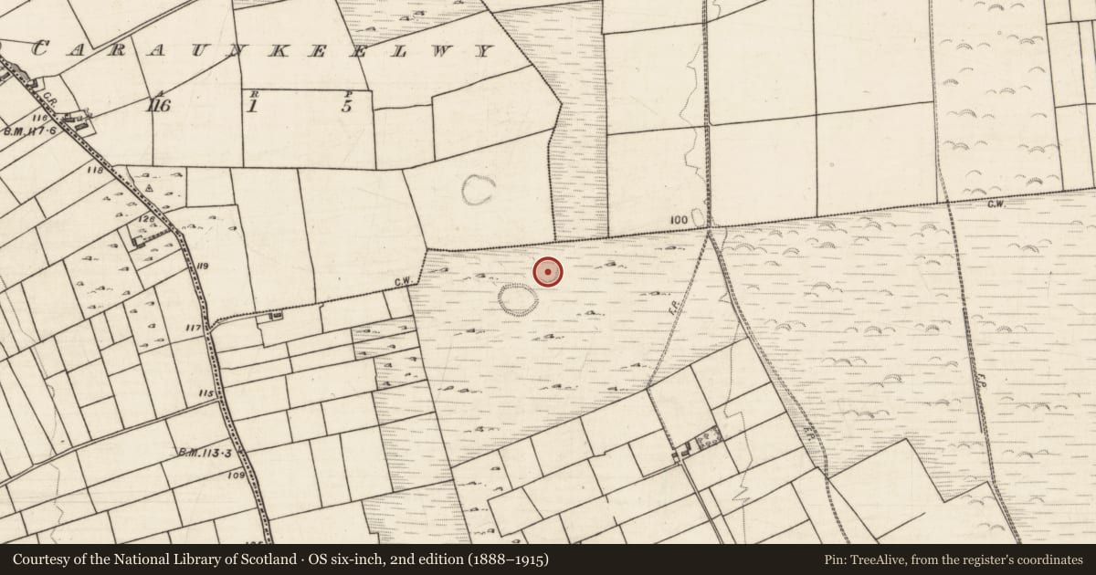 Ordnance Survey six-inch map, 2nd edition (1888–1915) covering the location of Ringfort - rath, Cahernashilleeny, County Galway, with a pin at the register's coordinates