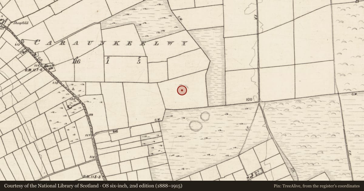 Ordnance Survey six-inch map, 2nd edition (1888–1915) covering the location of Enclosure, Caraunkeelwy, County Galway, with a pin at the register's coordinates