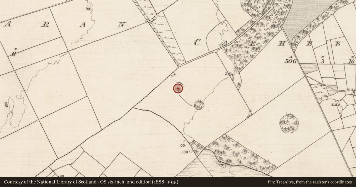 Ordnance Survey six-inch map, 2nd edition (1888–1915) covering the location of Designed landscape - tree-ring, Carheenlea, County Galway, with a pin at the register's coordinates