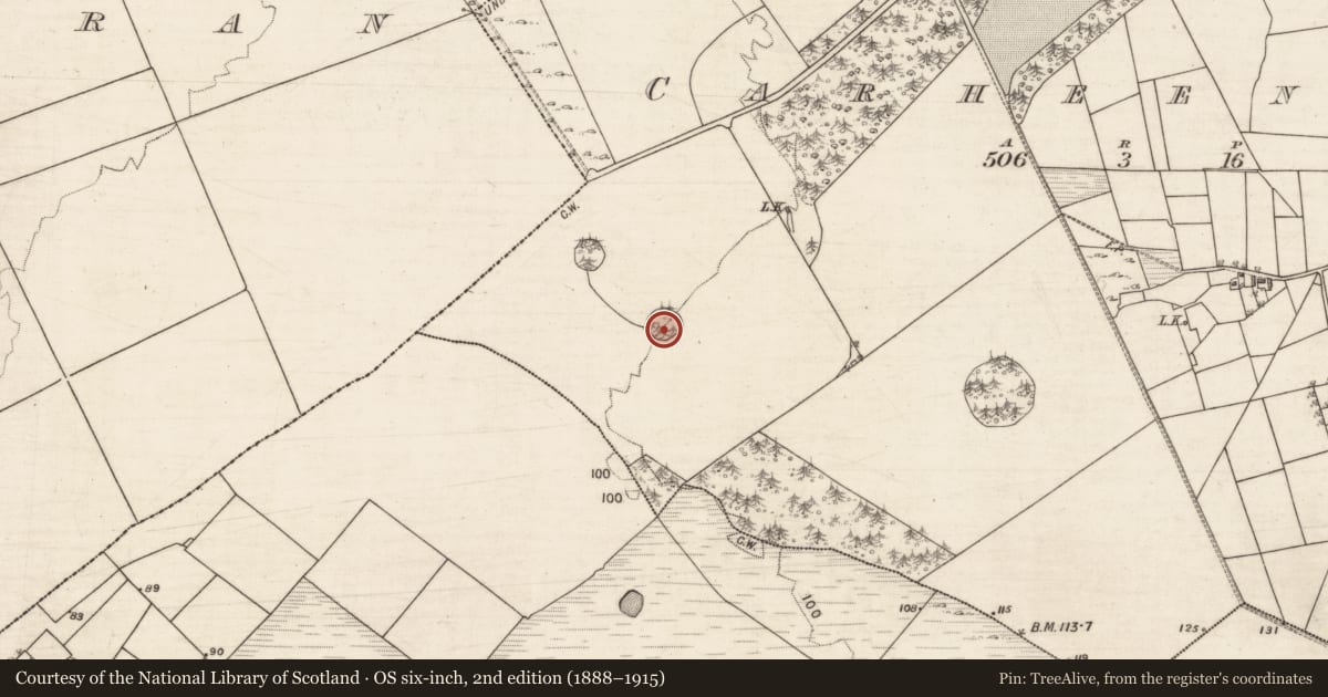 Ordnance Survey six-inch map, 2nd edition (1888–1915) covering the location of Designed landscape - tree-ring, Carheenlea, County Galway, with a pin at the register's coordinates