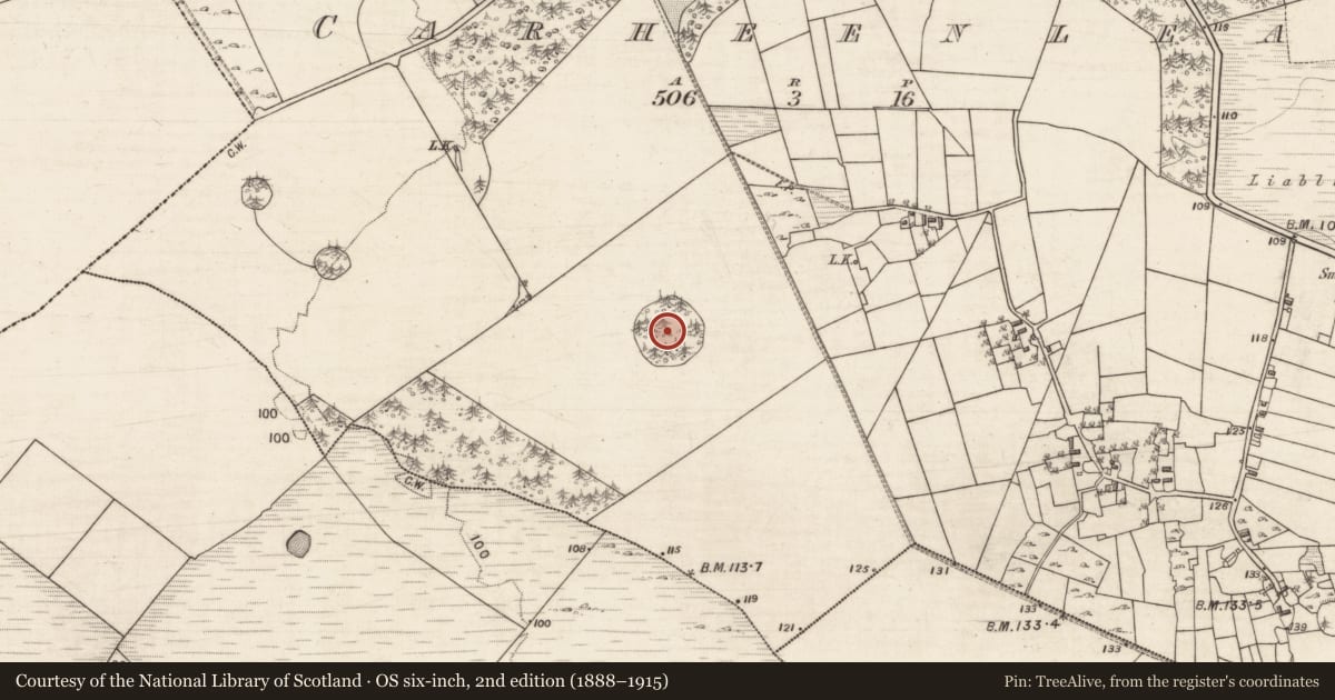 Ordnance Survey six-inch map, 2nd edition (1888–1915) covering the location of Designed landscape - tree-ring, Carheenlea, County Galway, with a pin at the register's coordinates