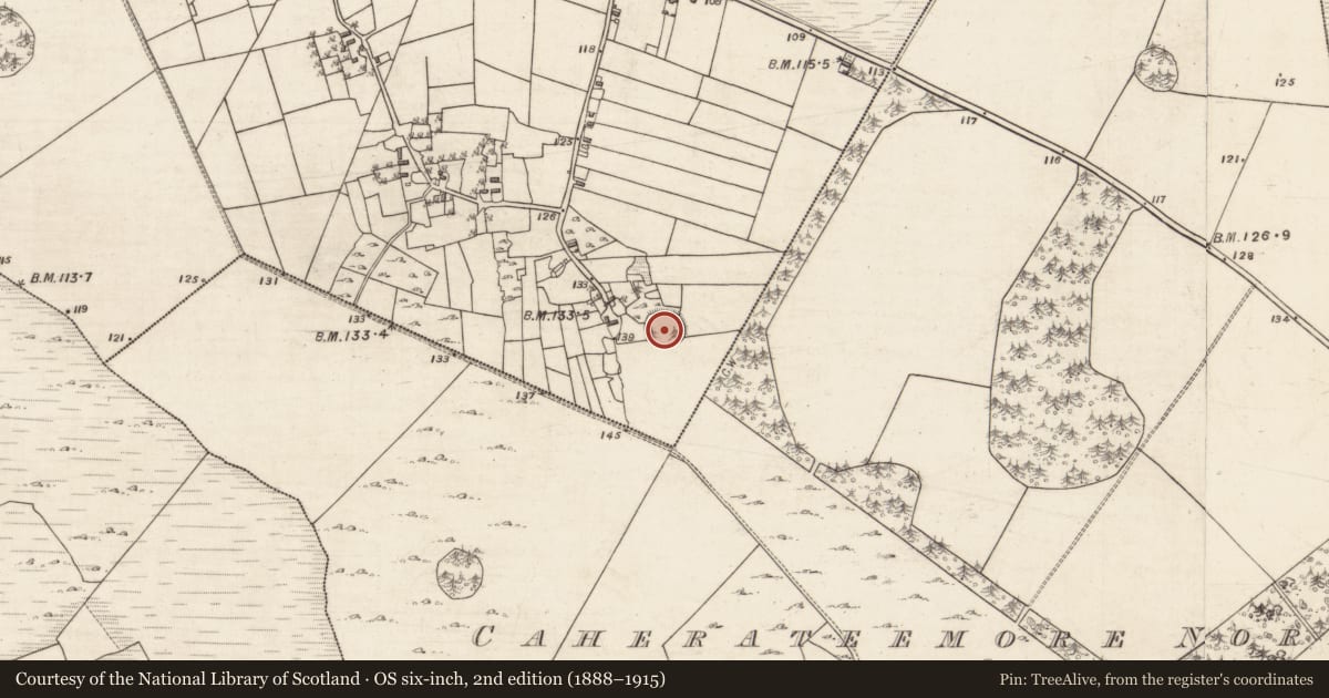 Ordnance Survey six-inch map, 2nd edition (1888–1915) covering the location of Enclosure, Carheenlea, County Galway, with a pin at the register's coordinates