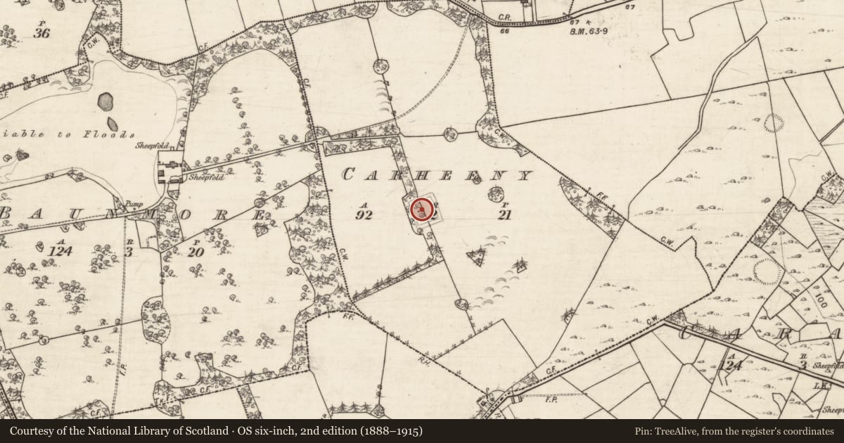 Ordnance Survey six-inch map, 2nd edition (1888–1915) covering the location of Moated site, Carheeny, County Galway, with a pin at the register's coordinates