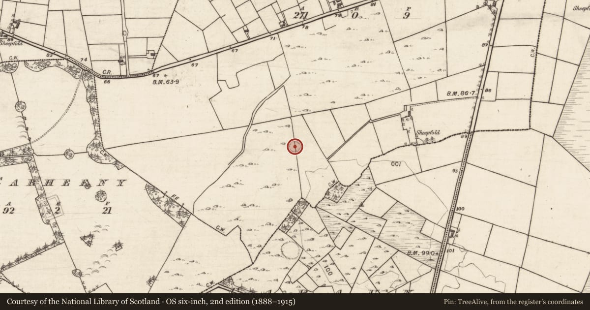 Ordnance Survey six-inch map, 2nd edition (1888–1915) covering the location of Ringfort - cashel, Carraghy, County Galway, with a pin at the register's coordinates