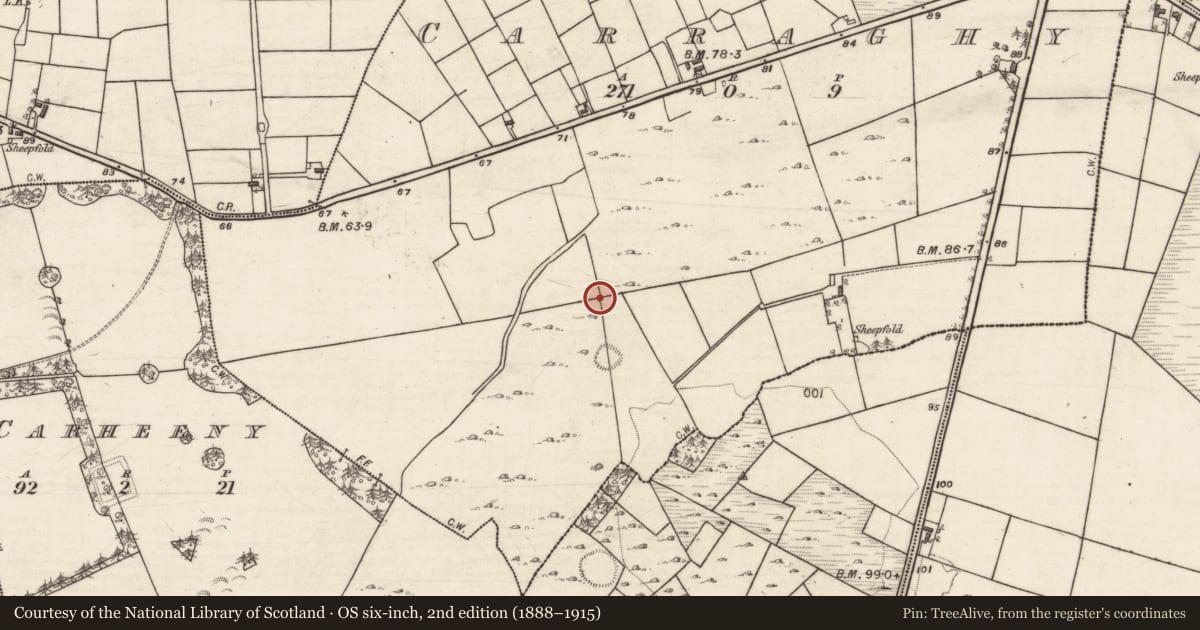 Ordnance Survey six-inch map, 2nd edition (1888–1915) covering the location of Ringfort - cashel, Carraghy, County Galway, with a pin at the register's coordinates