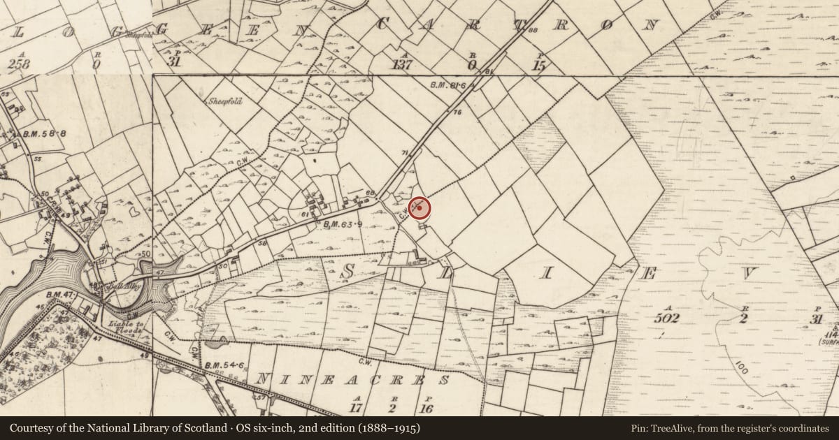 Ordnance Survey six-inch map, 2nd edition (1888–1915) covering the location of Ringfort - unclassified, Cartron (ED Annaghdown), Slievefin, County Galway, with a pin at the register's coordinates