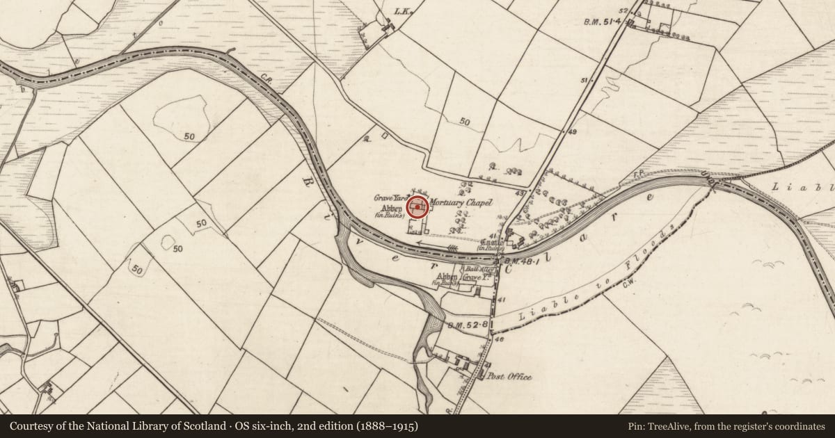 Ordnance Survey six-inch map, 2nd edition (1888–1915) covering the location of Graveslab, Baile Chláir, County Galway, with a pin at the register's coordinates