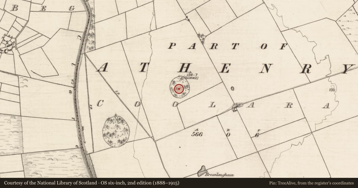 Ordnance Survey six-inch map, 2nd edition (1888–1915) covering the location of Moated site, Coolaran, County Galway, with a pin at the register's coordinates