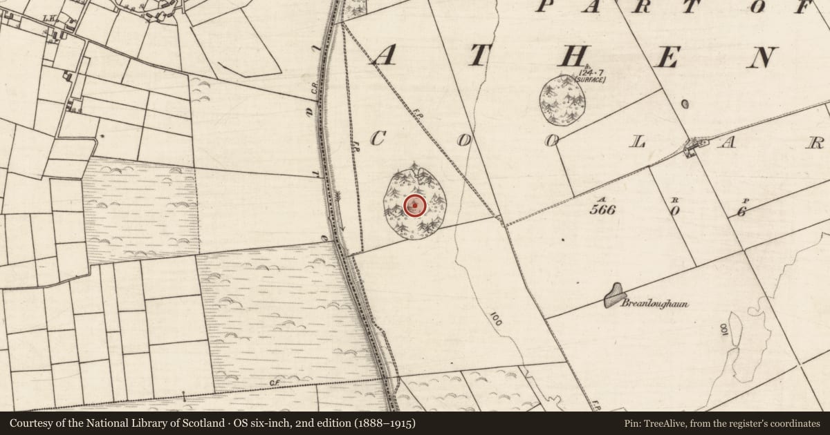 Ordnance Survey six-inch map, 2nd edition (1888–1915) covering the location of Designed landscape feature, Coolaran, County Galway, with a pin at the register's coordinates