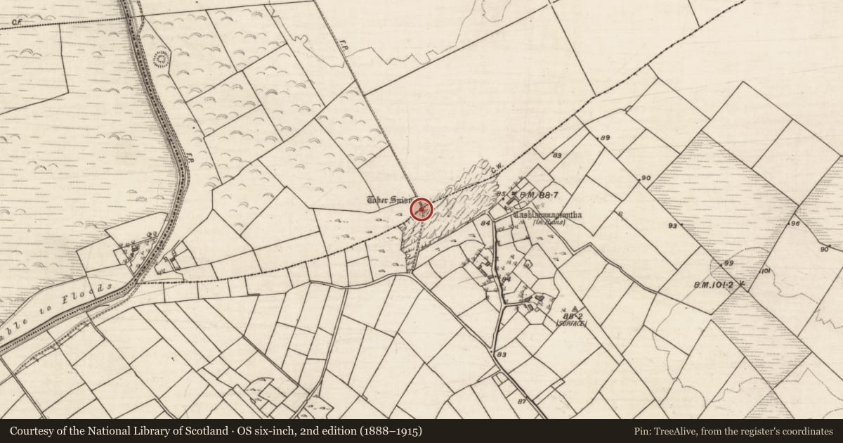 Ordnance Survey six-inch map, 2nd edition (1888–1915) covering the location of Ritual site - holy well, Coolaran, County Galway, with a pin at the register's coordinates