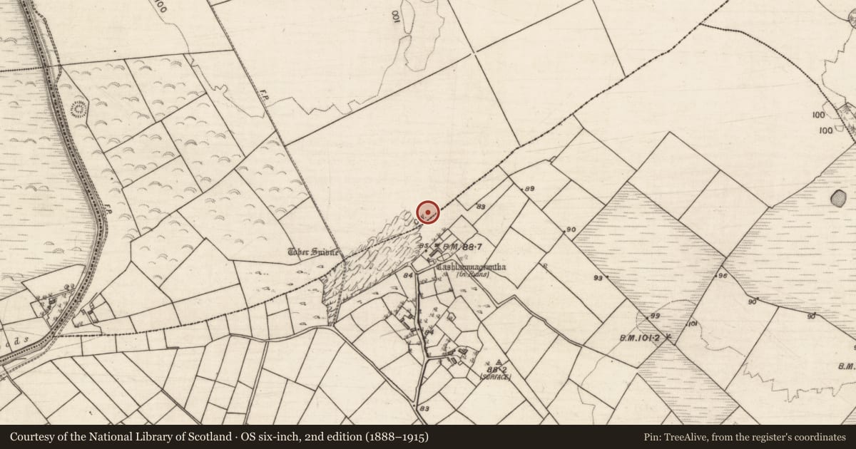 Ordnance Survey six-inch map, 2nd edition (1888–1915) covering the location of Quarry, Coolaran, County Galway, with a pin at the register's coordinates