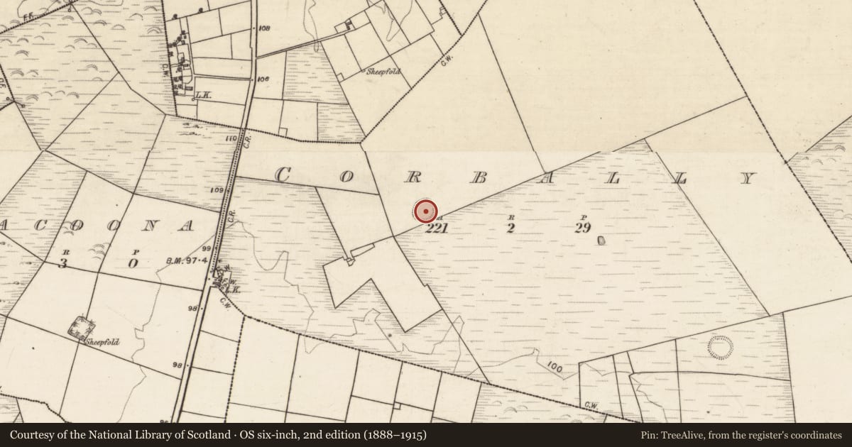 Ordnance Survey six-inch map, 2nd edition (1888–1915) covering the location of Ringfort - unclassified, Corbally, County Galway, with a pin at the register's coordinates