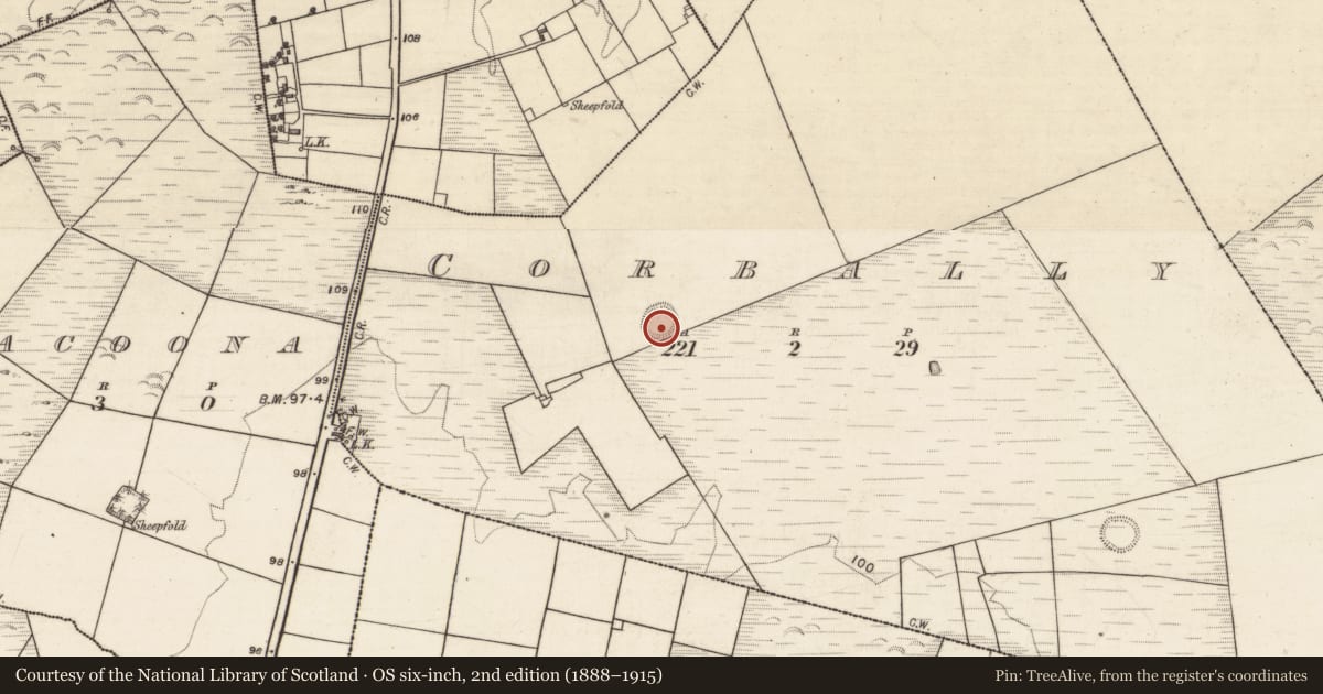 Ordnance Survey six-inch map, 2nd edition (1888–1915) covering the location of Souterrain, Corbally, County Galway, with a pin at the register's coordinates