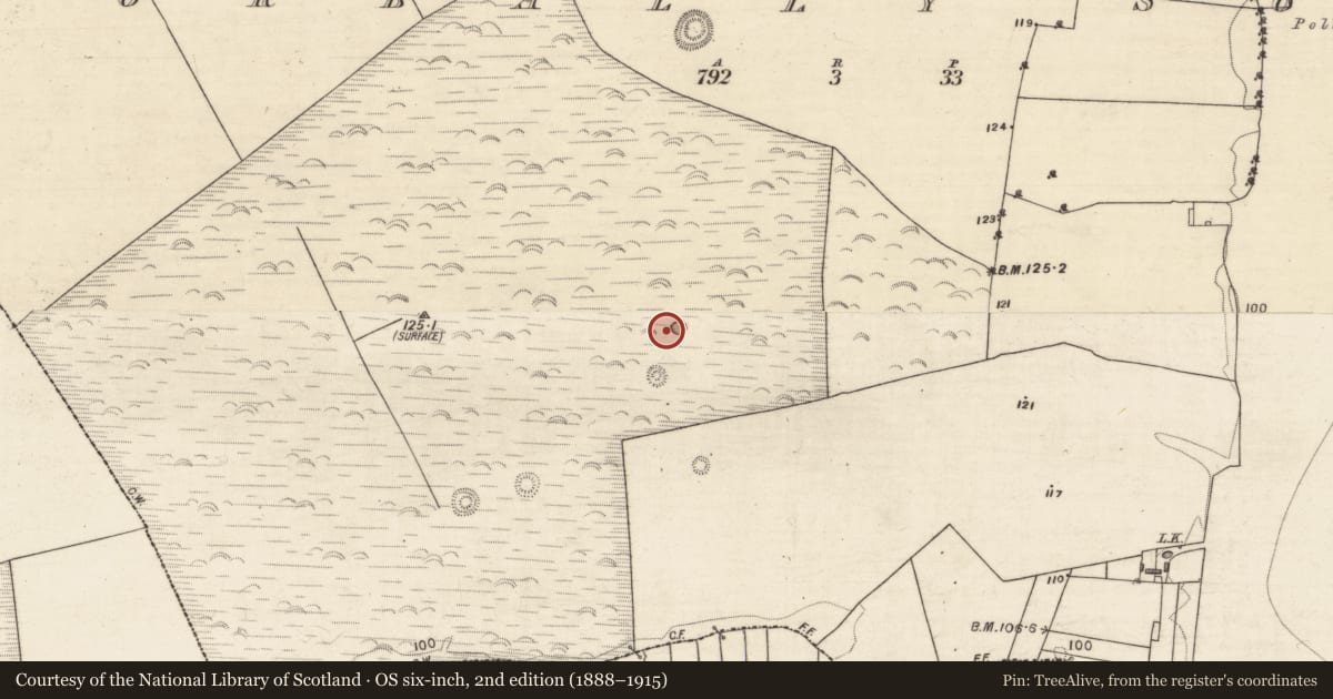 Ordnance Survey six-inch map, 2nd edition (1888–1915) covering the location of Enclosure, Corbally South, County Galway, with a pin at the register's coordinates