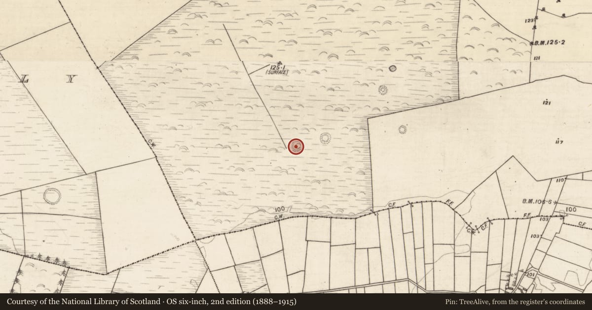 Ordnance Survey six-inch map, 2nd edition (1888–1915) covering the location of Enclosure, Corbally South, County Galway, with a pin at the register's coordinates