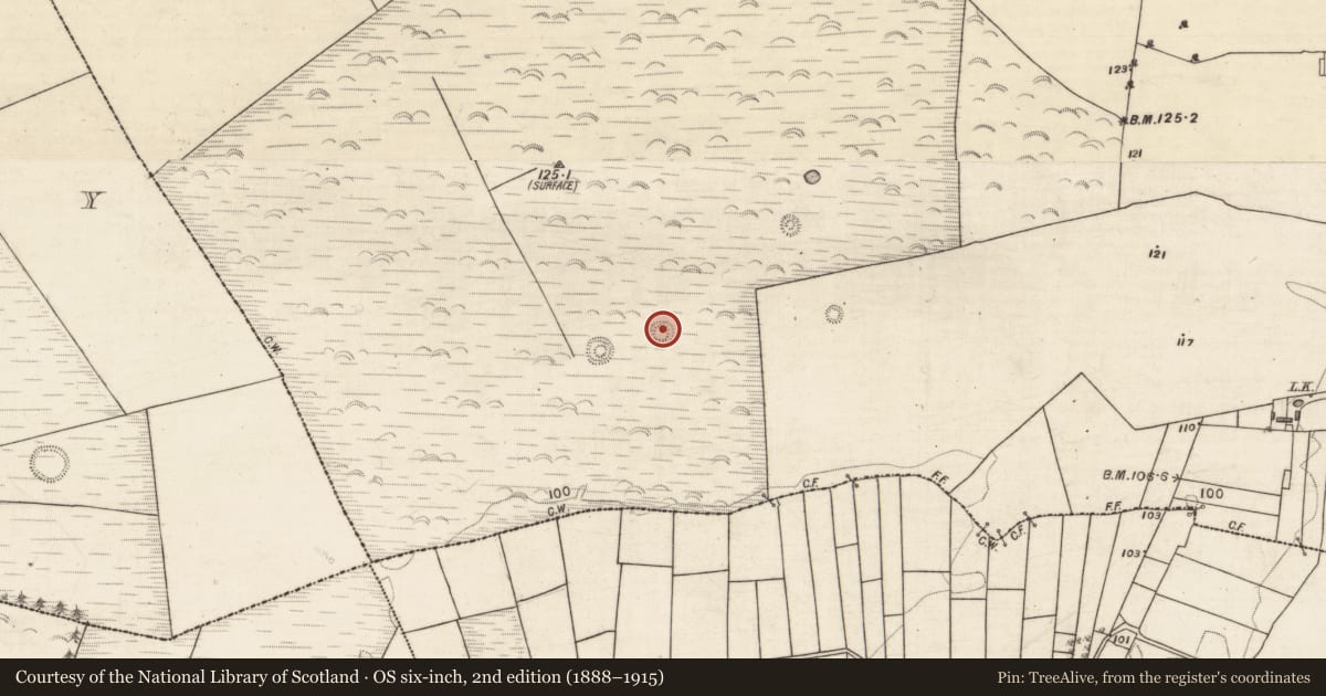 Ordnance Survey six-inch map, 2nd edition (1888–1915) covering the location of Enclosure, Corbally South, County Galway, with a pin at the register's coordinates