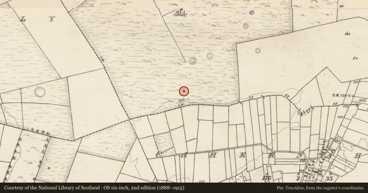 Ordnance Survey six-inch map, 2nd edition (1888–1915) covering the location of Souterrain, Corbally South, County Galway, with a pin at the register's coordinates