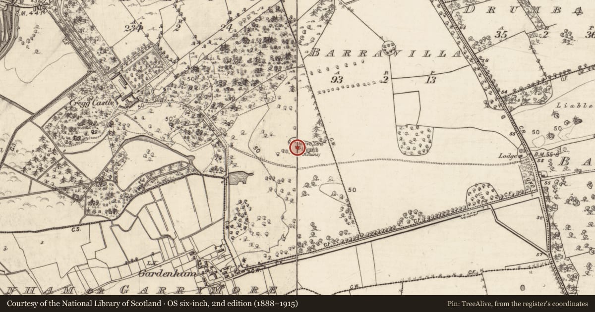 Ordnance Survey six-inch map, 2nd edition (1888–1915) covering the location of Church, Cregg, County Galway, with a pin at the register's coordinates