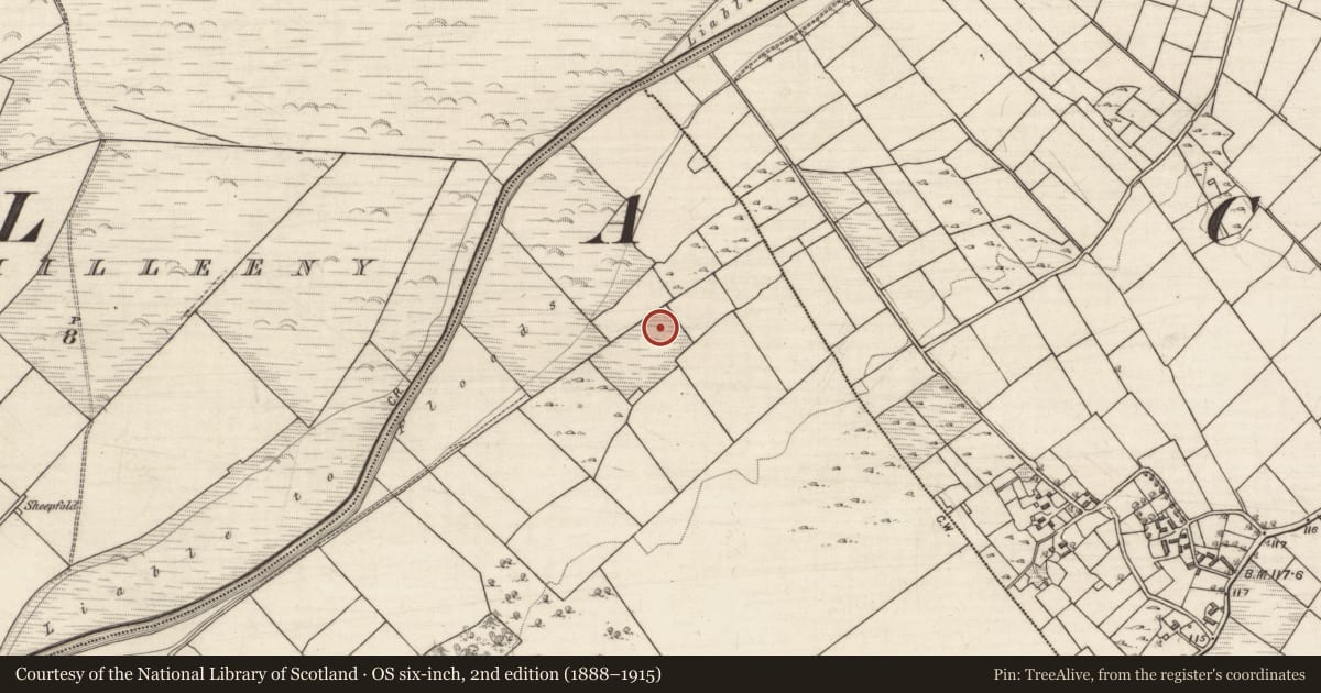 Ordnance Survey six-inch map, 2nd edition (1888–1915) covering the location of Ringfort - unclassified, Cregmore, County Galway, with a pin at the register's coordinates