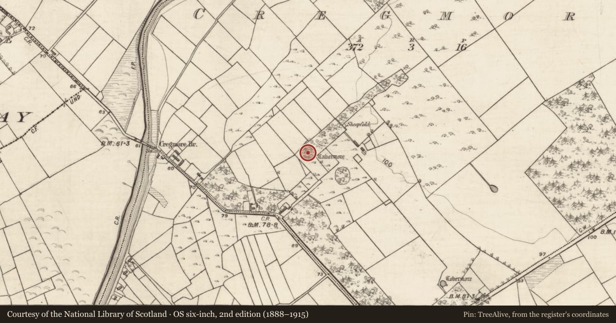 Ordnance Survey six-inch map, 2nd edition (1888–1915) covering the location of Ringfort - unclassified, Cregmore, County Galway, with a pin at the register's coordinates