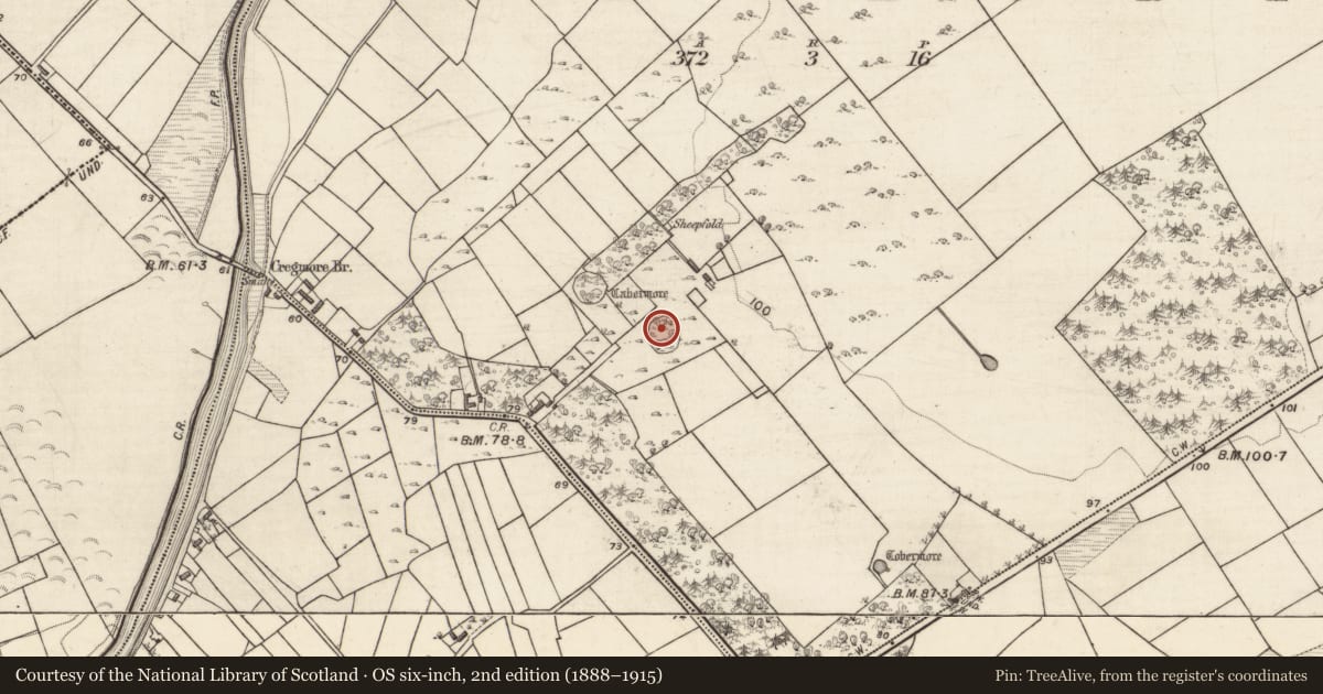 Ordnance Survey six-inch map, 2nd edition (1888–1915) covering the location of Designed landscape - tree-ring, Cregmore, County Galway, with a pin at the register's coordinates