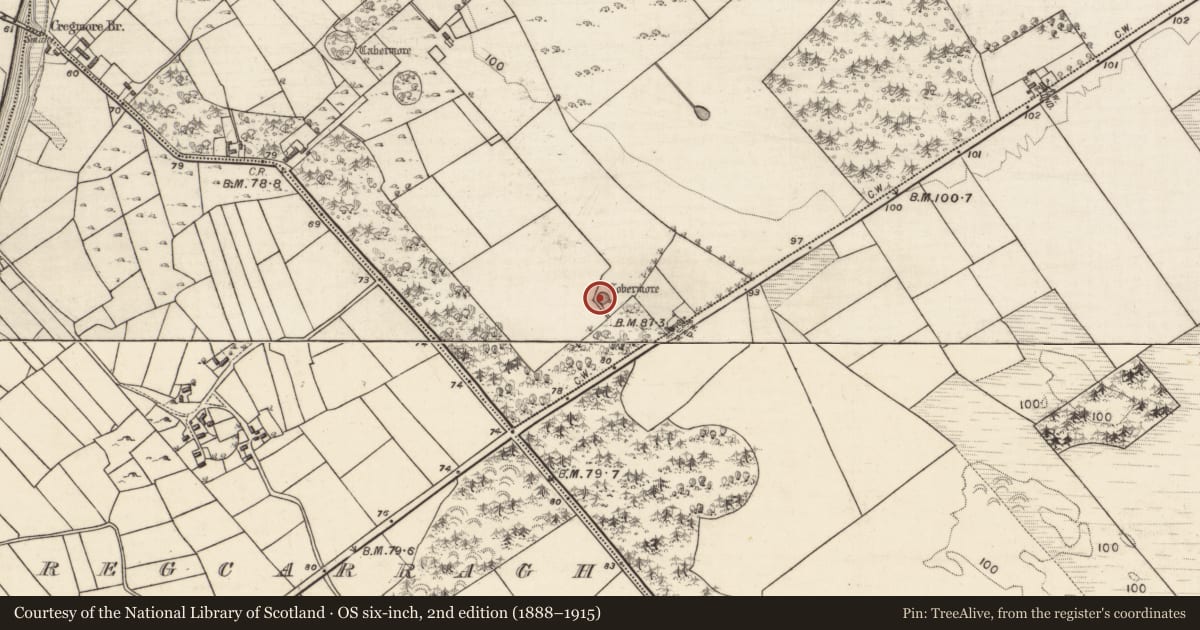 Ordnance Survey six-inch map, 2nd edition (1888–1915) covering the location of Well, Cregmore, County Galway, with a pin at the register's coordinates